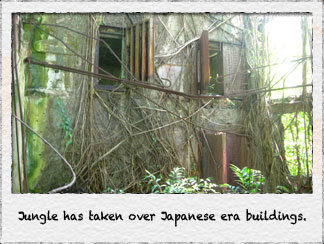 Jungle has taken over Japanese era buildings.