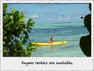 Kayak rentals are available on island.