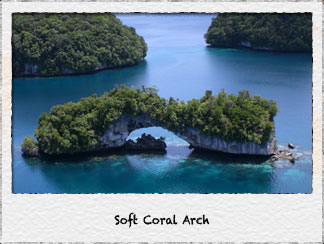 Soft Coral Arch