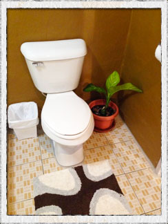Bathroom toilet